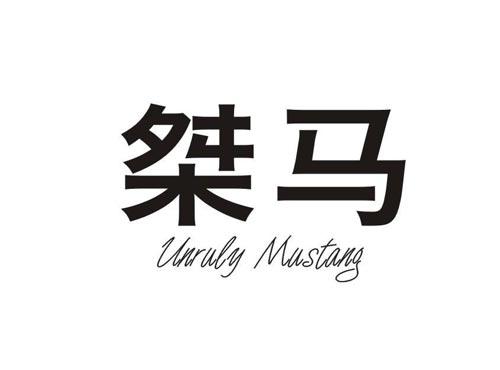桀马+UNRULYMUSTANG