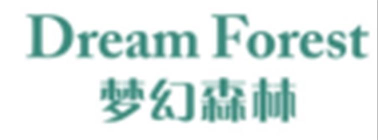 梦幻森林DreamForest