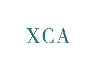 XCA