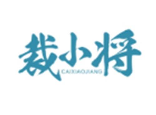 裁小将CAIXIAOJIANG