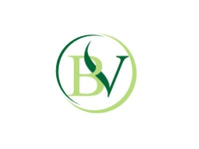 BV图形