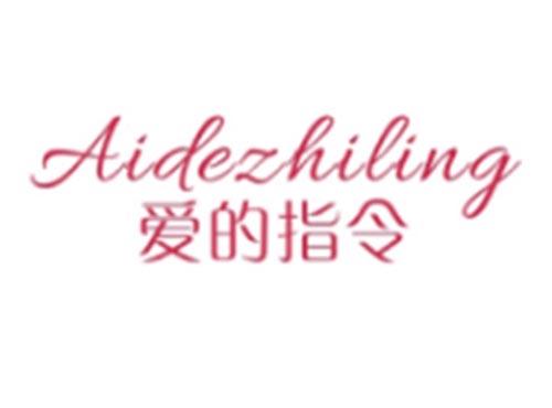 爱的指令AIDEZHILING