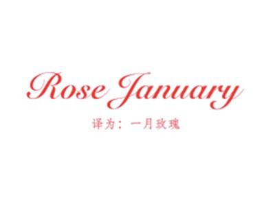 ROSEJANUARY(一月玫瑰)