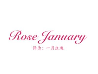 ROSEJANUARY(一月玫瑰)