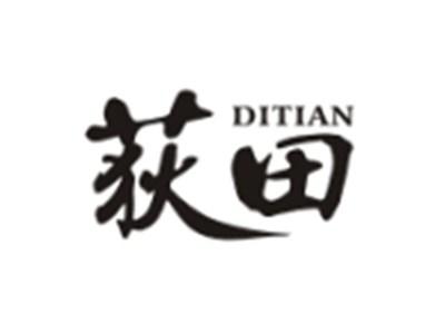 荻田DITIAN