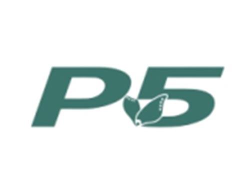 P5