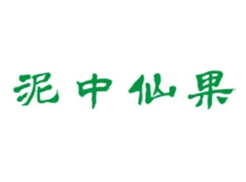 泥中仙果