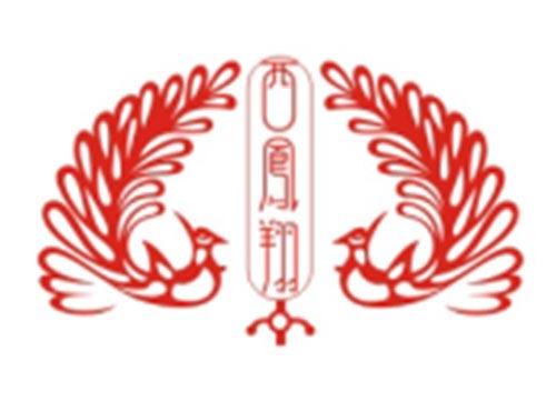 西凤翔+图形