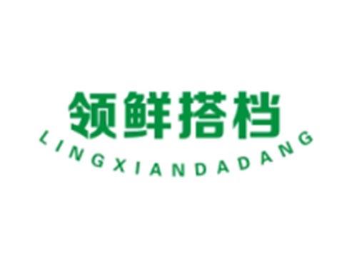 领鲜搭档LINGXIANDADANG