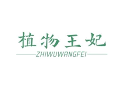 植物王妃ZHIWUWANGFEI
