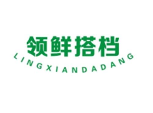 领鲜搭档LINGXIANDADANG