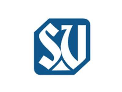 SV图形