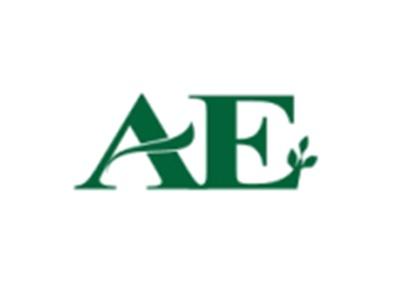 AE图形