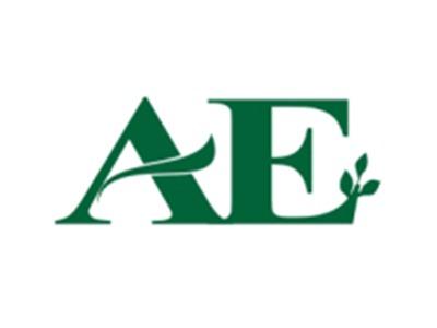 AE图形