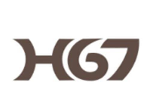 H67