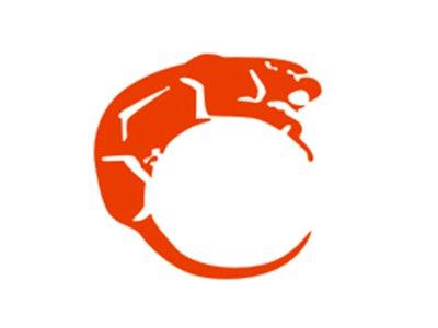 C豹图形