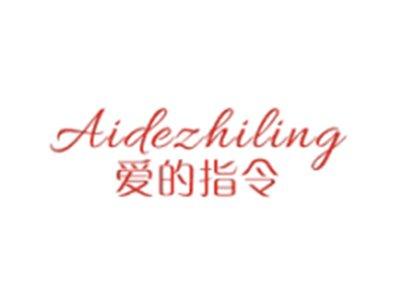 爱的指令AIDEZHILING