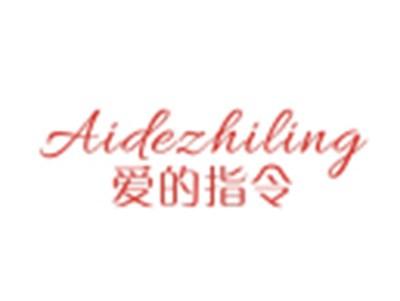 爱的指令AIDEZHILING