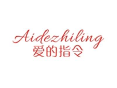 爱的指令AIDEZHILING