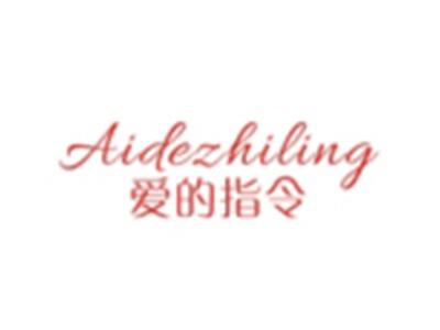 爱的指令AIDEZHILING