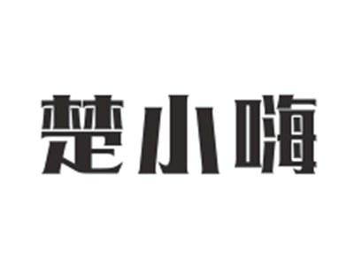 楚小嗨