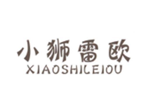 小狮雷欧