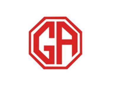 GA图形