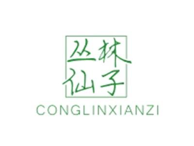 丛林仙子CONGLINXIANZI