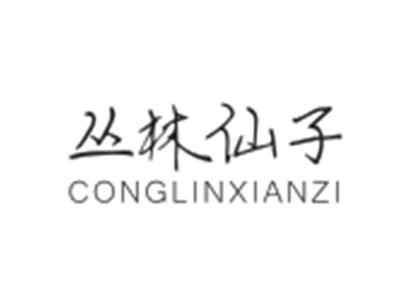 丛林仙子CONGLINXIANZI