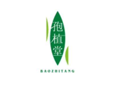 孢植堂BAOZHITANG