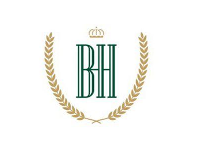 BH图形