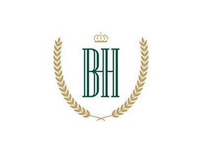 BH图形