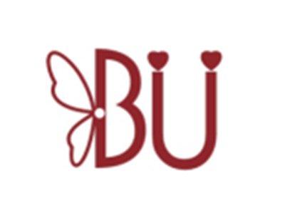BU图形