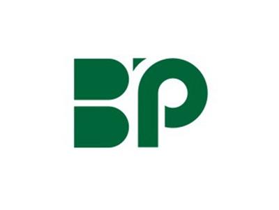 BP图形