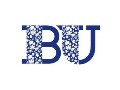 BU图形