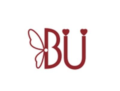 BU图形