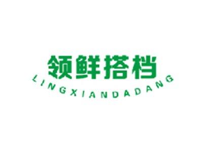 领鲜搭档LINGXIANDADANG