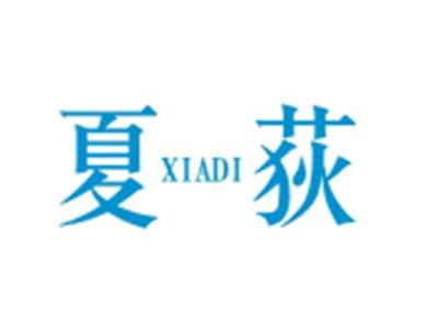 夏荻XIADI