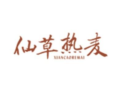 仙草热麦XIANCAOREMAI