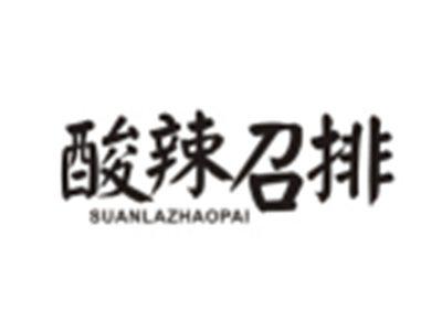 酸辣召排SUANLAZHAOPAI