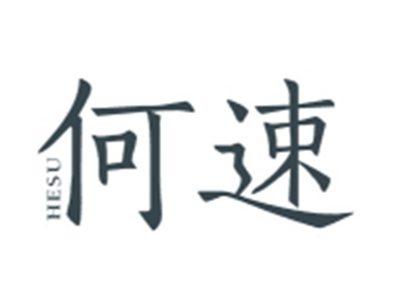 何速HESU