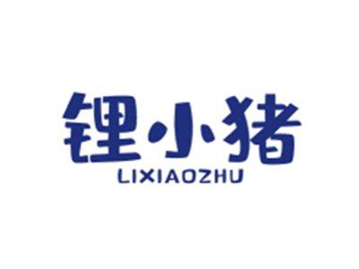 锂小猪LIXIAOZHU
