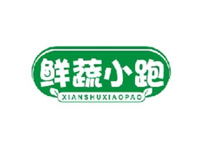 鲜蔬小跑XIANSHUXIAOPAO