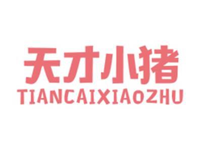 天才小猪TIANCAIXIAOZHU