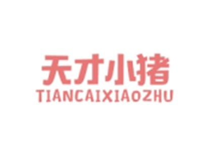 天才小猪TIANCAIXIAOZHU