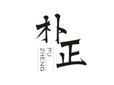 朴正PUZHENG