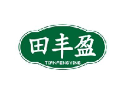 田丰盈TIANFENGYING