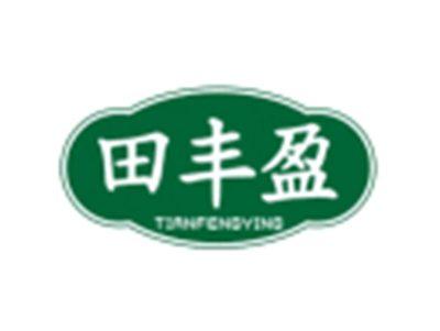 田丰盈TIANFENGYING