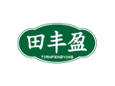 田丰盈TIANFENGYING