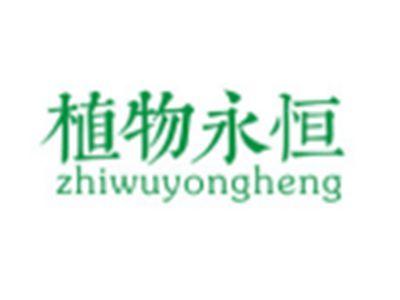 植物永恒ZHIWUYONGHENG